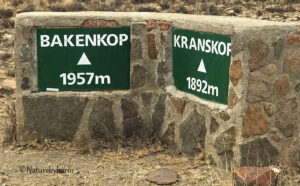 Kranskop height