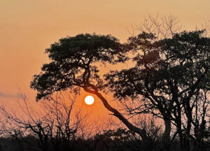 Kruger Sunrise