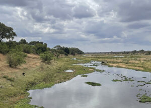 Letaba River