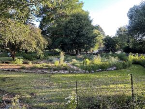 Rhodes Herb Garden