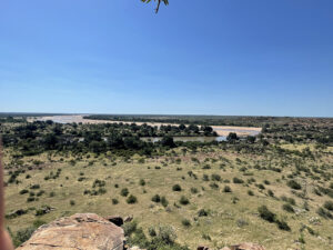 Mapungubwe View