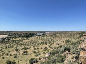 Mapungubwe View