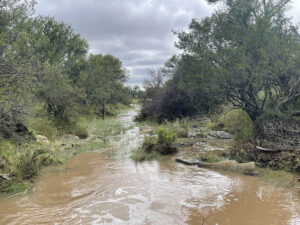 Mountain Zebra National Park