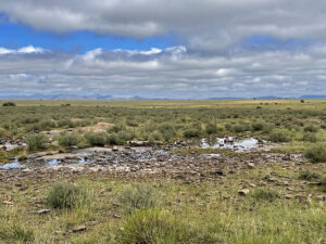 Mountain Zebra National Park