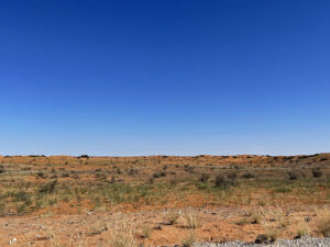 Kgalagadi Red Dunes