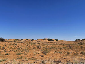 Kgalagadi Red Dunes