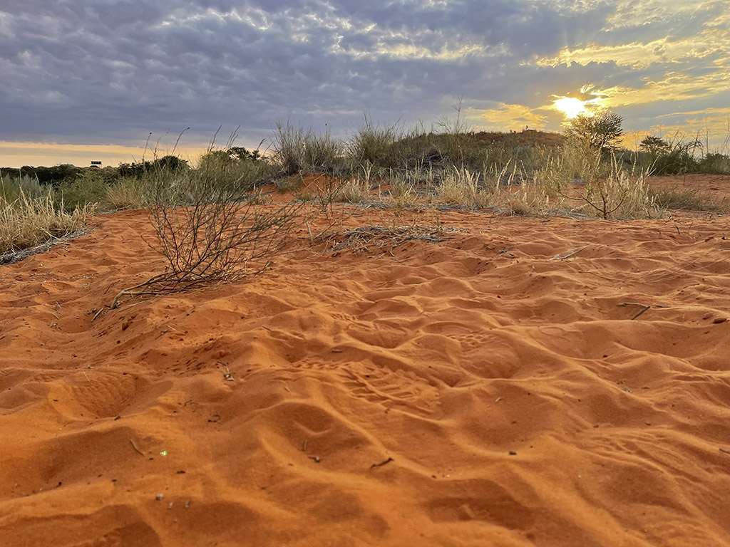 Kgalagadi Red Dunes