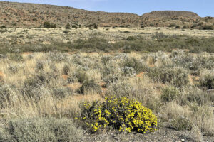 Karoo NP