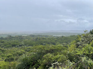 Isimangaliso