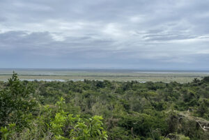 Isimangaliso