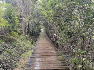 St Lucia Estuary