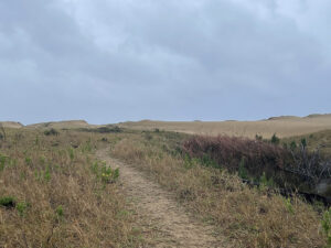 St Lucia Estuary