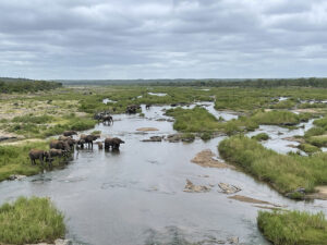 Olifants River