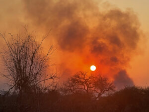 Smokey Sunset