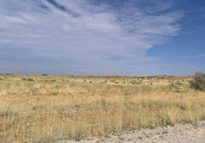 Red Dunes