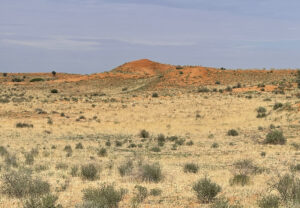 Red Dunes