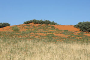 Short Dune Road