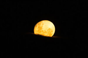Full moon