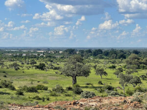 Mapungubwe Confluence